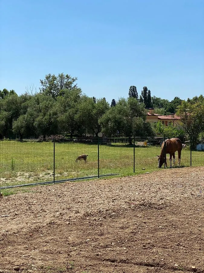 I Broletti Del Garda Hotel Pacengo Di Lazise Guest house